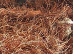 Copper scrap - US$220 MT CIF Terms