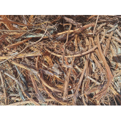 Purchasing millberry, berry candy, T-Birch copper scrap from UK only to UAE, CIF, FCA