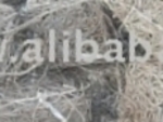 Steel Scrap